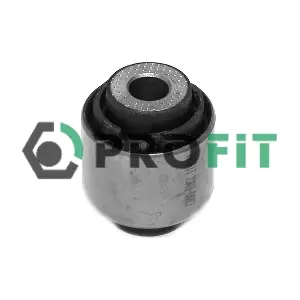 2307-0667 PROFIT