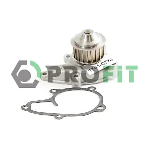 1701-0770 PROFIT