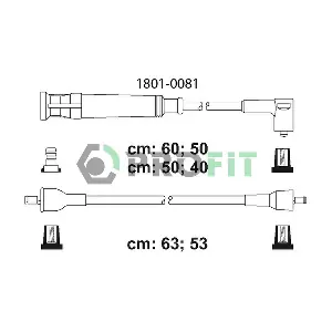 1801-0081 PROFIT