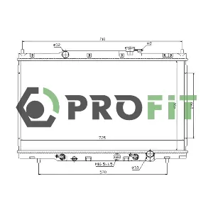 1740-0203 PROFIT