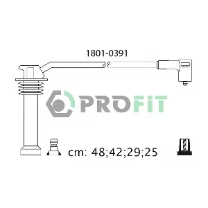 PROFIT 1801-0391