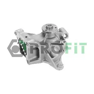 1701-0751 PROFIT