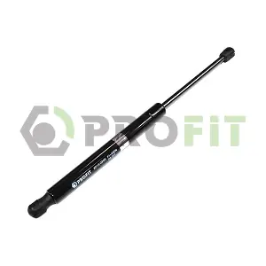 PROFIT 2015-0299