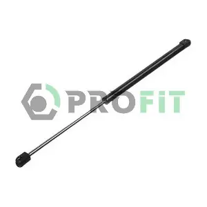 PROFIT 2015-0015