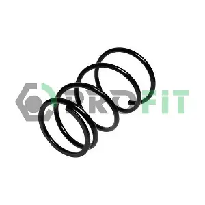 PROFIT 2010-0861