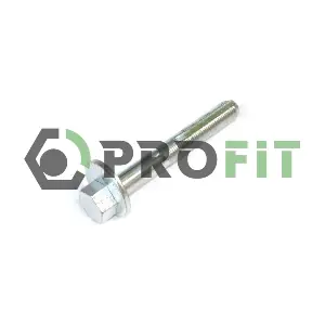 2307-1029 PROFIT