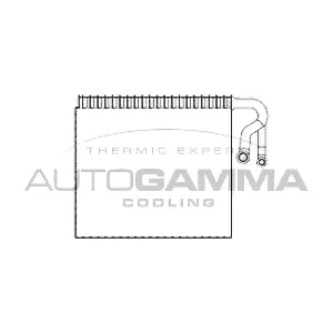 112223 AUTOGAMMA
