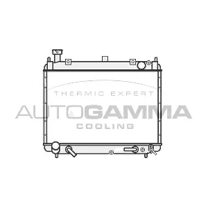 107056 AUTOGAMMA