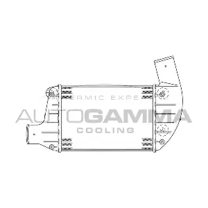 101853 AUTOGAMMA