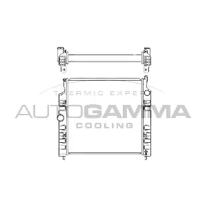 107311 AUTOGAMMA