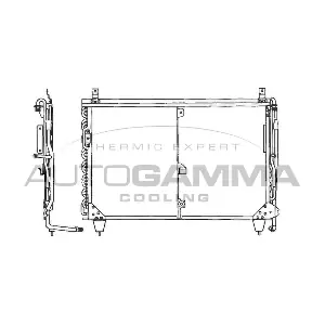 101704 AUTOGAMMA
