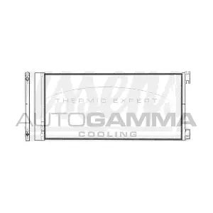107613 AUTOGAMMA