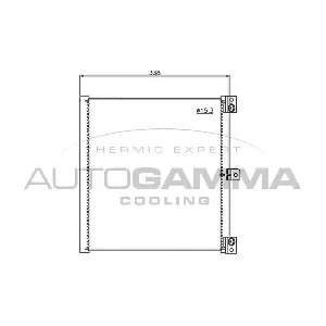 107561 AUTOGAMMA