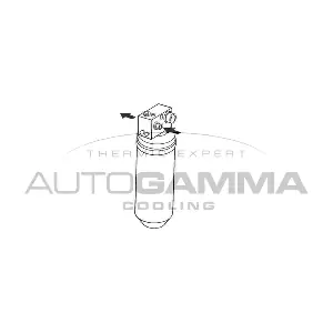 106068 AUTOGAMMA