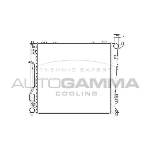 AUTOGAMMA 107028 Радіатор, система охолодження двигуна
