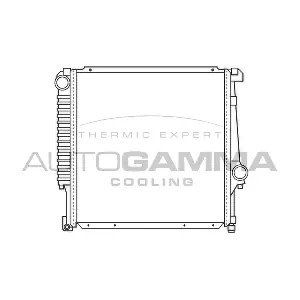 100099 AUTOGAMMA