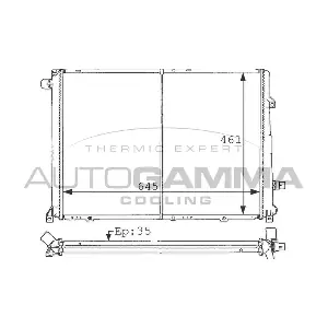 100910 AUTOGAMMA