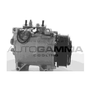 108675 AUTOGAMMA