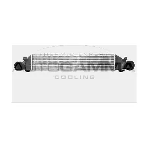 103736 AUTOGAMMA