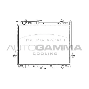 107716 AUTOGAMMA
