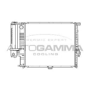 AUTOGAMMA 100125