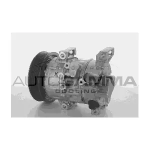 118411 AUTOGAMMA
