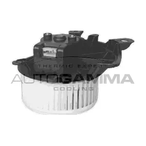 AUTOGAMMA GA20029