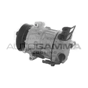 AUTOGAMMA 118608