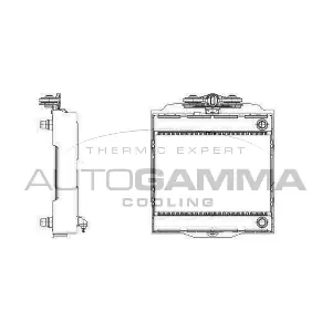 107010 AUTOGAMMA