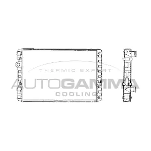 101081 AUTOGAMMA