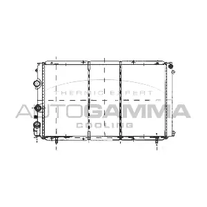 103002 AUTOGAMMA