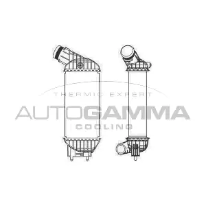 105677 AUTOGAMMA