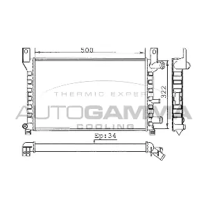 100330 AUTOGAMMA