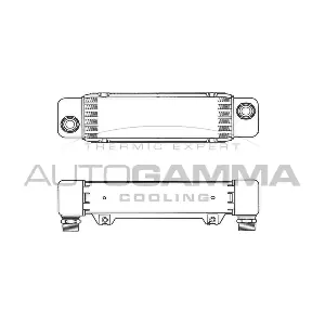 AUTOGAMMA 101866 Охолоджувач оливи, моторна олива