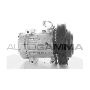 AUTOGAMMA 108940