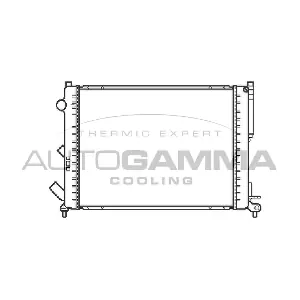 103066 AUTOGAMMA