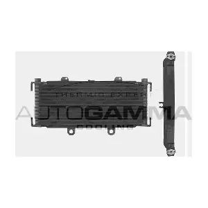 104338 AUTOGAMMA
