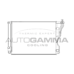 105855 AUTOGAMMA