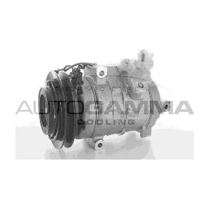 118427 AUTOGAMMA