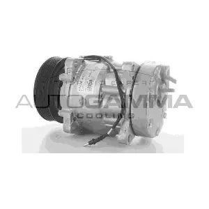 108912 AUTOGAMMA