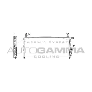 102817 AUTOGAMMA