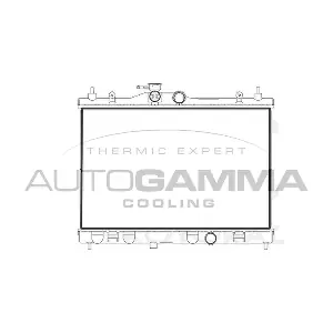 107175 AUTOGAMMA