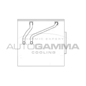 112107 AUTOGAMMA