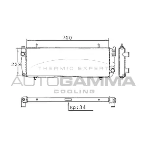 100471 AUTOGAMMA