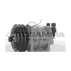 109233 AUTOGAMMA