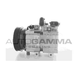 108700 AUTOGAMMA
