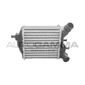 105295 AUTOGAMMA