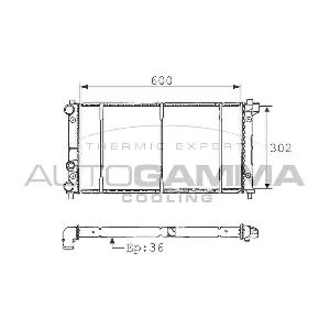 100955 AUTOGAMMA