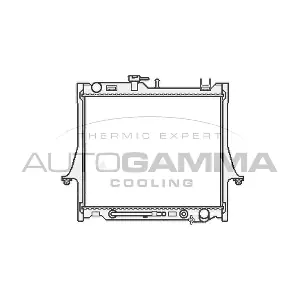 107045 AUTOGAMMA
