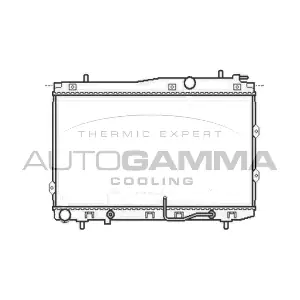 104768 AUTOGAMMA